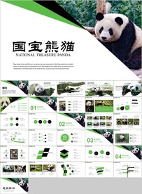 保护动物吃竹子国宝熊猫野生动物