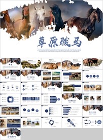 内蒙古大草原骏马马儿蒙古旅游