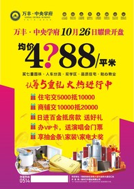 住宅开盘认筹礼DM宣传单页