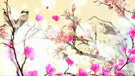 桃夭古典汉唐舞蹈 舞台背景视频