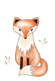 狐狸
