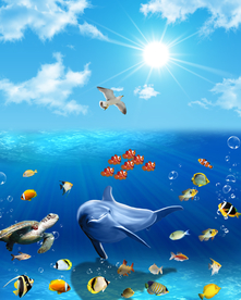 海底世界