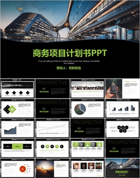 高端商务项目计划书PPT
