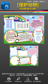 保护动物爱护动物手抄报小报