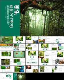 湿地环境保护植树造林PPT