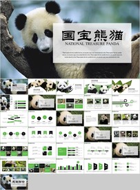 保护动物吃竹子国宝熊猫野生动物