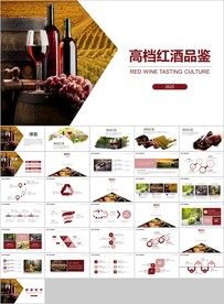 高档红酒葡萄酒介绍酒文化