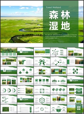 湿地森林生态保护PPT