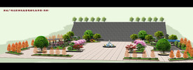 广场绿化效果图