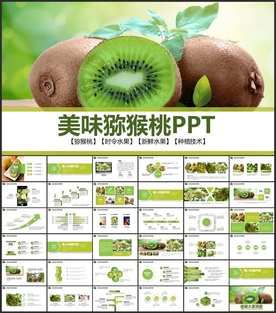 美味多汁猕猴桃PPT