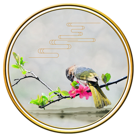 工笔　圆形花鸟图