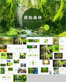 湿地环境保护生态森林ppt