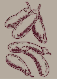 茄子手绘