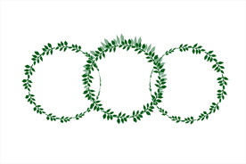 矢量图绿叶藤蔓圆环边框底纹背景