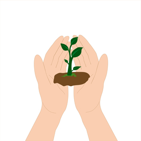 爱护环境矢量图，双手托捧着幼苗