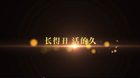 我愿意平凡的陪在你身旁歌词