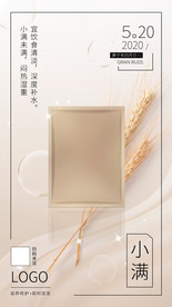 美容护肤品面膜小满节气海报