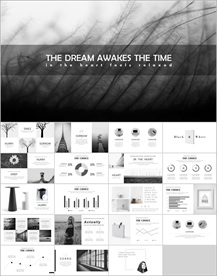 PPT模板 商业 大气 简约