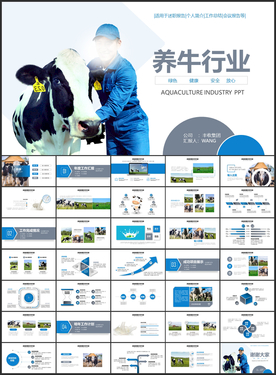 养牛养牛场PPT