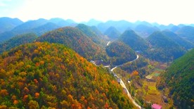 重庆巫山初冬季 彩林美如画