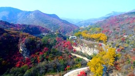 生态淄博  美丽家园