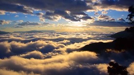 云南普洱：哀牢山云海 变幻如仙