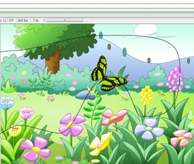 蝴蝶在美丽的花朵飞翔15秒