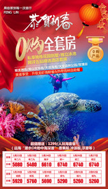 春节三亚旅游 2020海报