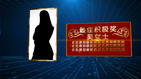 企业人物颁奖展示AE模板