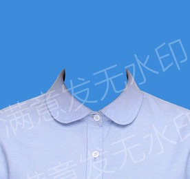 证件照蓝色衬衫模板女生