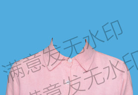 女生粉红色衬衫正装模板证件照