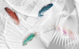 羽毛欧式背景墙画 TIF分层