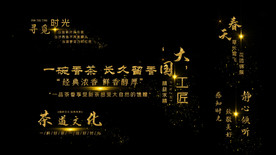 粒子光效穿梭字幕条ED模板