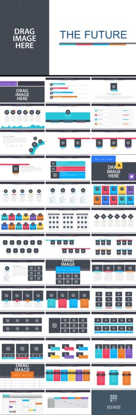 大项目市场分析总结 报告PPT