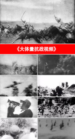 大体量抗战视频