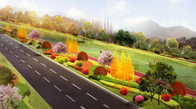 道路绿化鸟瞰图