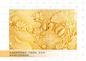 高清质感荷花素材