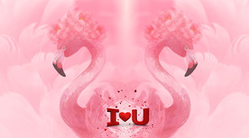 网红火烈鸟背景墙