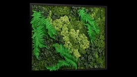 花艺绿植装饰植物墙