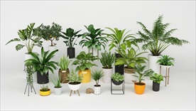 20款装饰植物集合