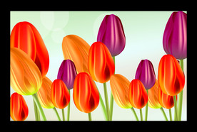 郁金香电视背景墙