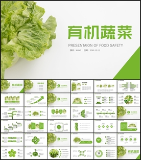 有机蔬菜PPT