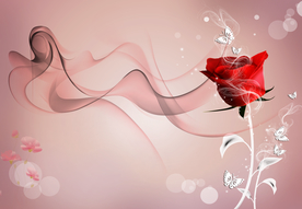 玫瑰时尚背景