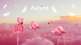 网红火烈鸟背景墙