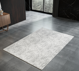 场景          室内场