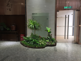 花卉租摆景观设计效果图