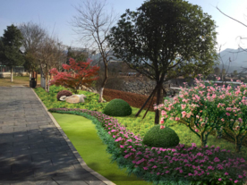 绿化景观设计效果图