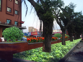 花坛景观设计效果图