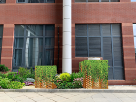 垂直绿化景观设计效果图