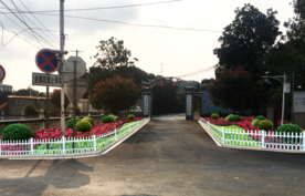 绿化景观设计改造